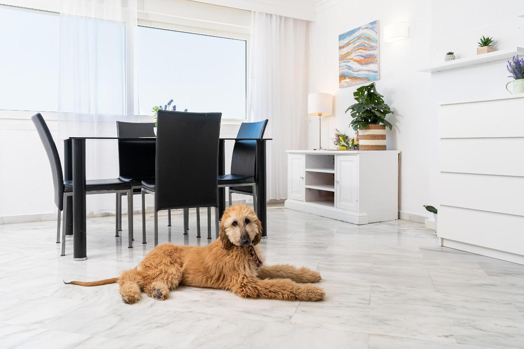 Monko Bora Bora Apartment Benalmadena Ngoại thất bức ảnh